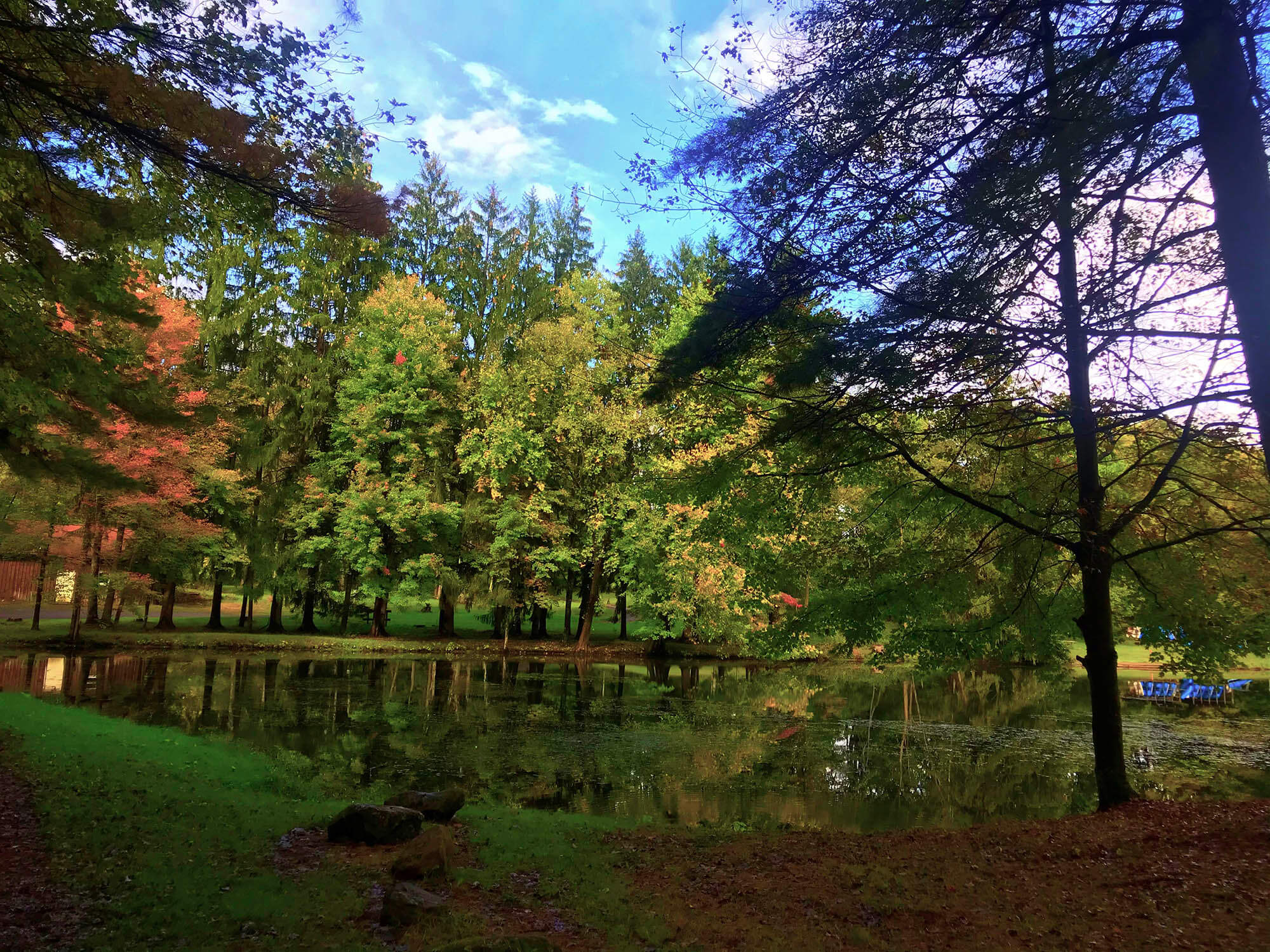 Outdoor Woods Wedding Venue PA